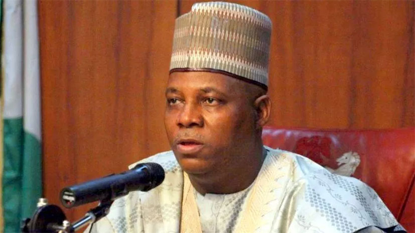 13 US Patients Undergo Kidney Transplants In Nigeria — Shettima