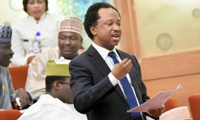 Protest: Shehu Sani Tells FG To Release Arrested Protesters