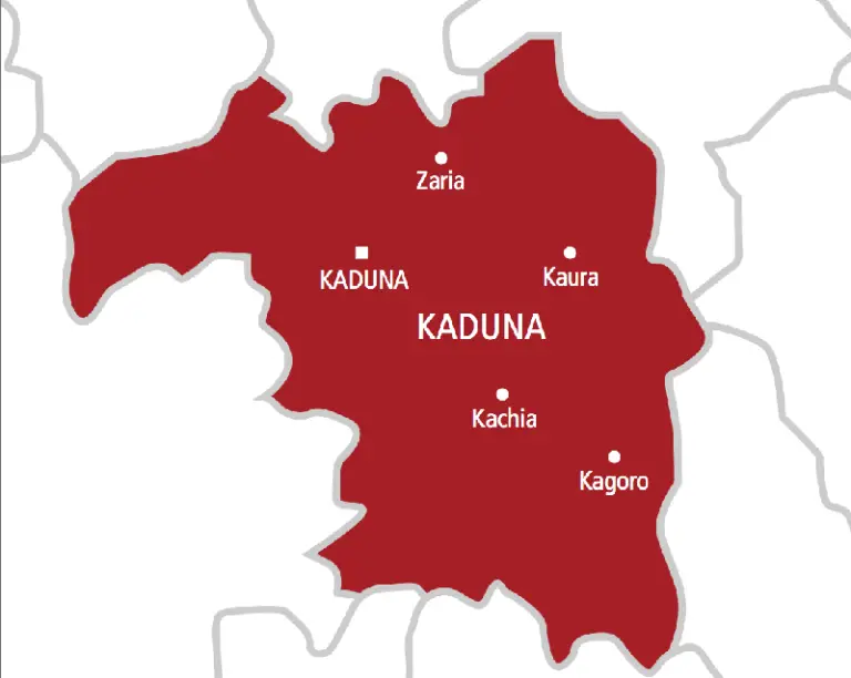 APC Emerged Winner Of Kaduna LG Poll