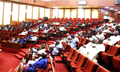 Senate Approves South East Development Commision, SEDC, Bill