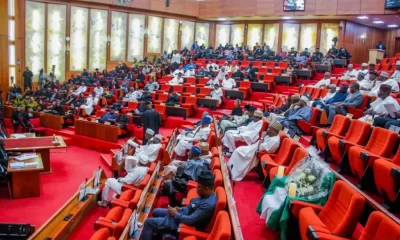 Senate Urges Mining Office To Boost Revenue For FG