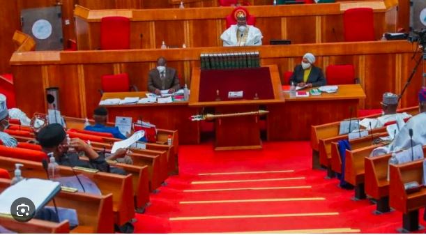 2024 Census’ll Hold As Planned, Senate Assures Nigerians