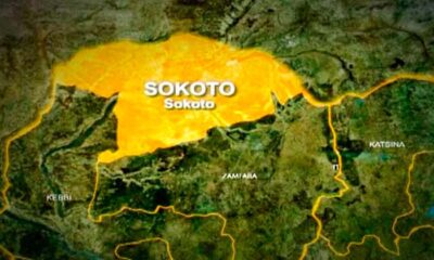 208 Cases Identified As Strange Illness Claims 8 Lives In Sokoto