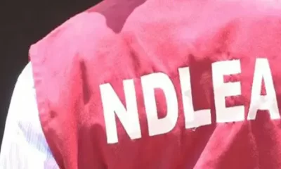 252 Drug Suspects Were Detained By The Osun NDLEA In 2023. - Commander