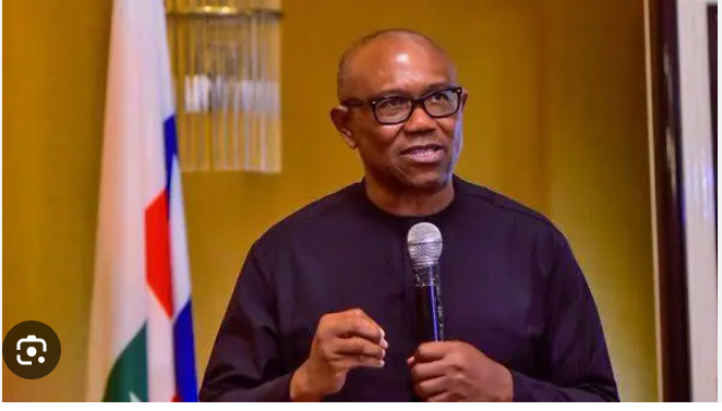 Fuel subsidy: Nigerians Must Insists On Transparency From NNPCL, Says Peter Obi