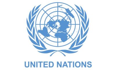 UN General Assembly To Discuss AI’s Potential Risks, Benefits