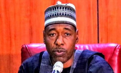 Tinubu’s Tax Reform Will Destroy The North Says Gov Zulum