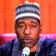 Tinubu’s Tax Reform Will Destroy The North Says Gov Zulum