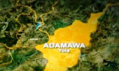 Adamawa Assembly Denies Implementing Law To Unseat Lamido