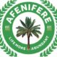 Afenifere, Led By Adebanjo Calls For Nnamdi Kanu's Release