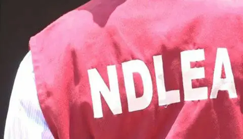 NDLEA Arrests Port Operator, Dock Worker At Tin Can