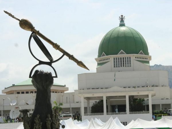 NASS—CEO Of Alliance Hospital, Others To Face Organ Harvesting Charges