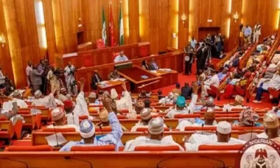 Senate Terminates Appointment Of Three Suspended RECs