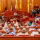 Senate Proposes To Prohibit Foreign Currency For Local Transactions