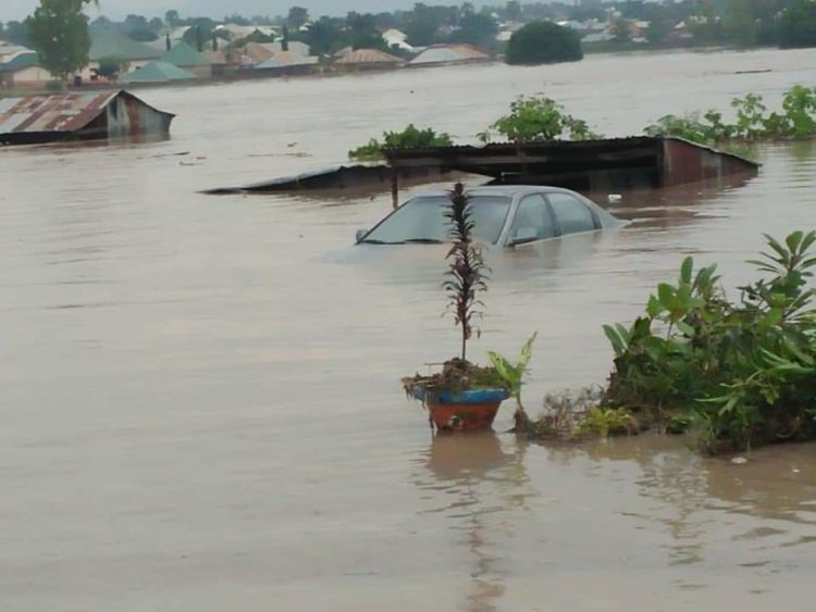 Borno Commence Fumigation As Flood Recedes