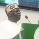 We Are Not Ashamed To Copy What Works In Other Climes — Tinubu