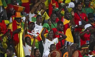 Six Guinean Fans Pass Away Amid The AFCON Victory Celebration