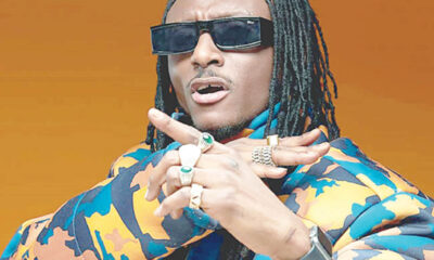 Artists Don't Care About Me Right Now, Terry G. Laments