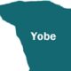 Houses Razed, Many Feared Killed In Yobe Terror Attack