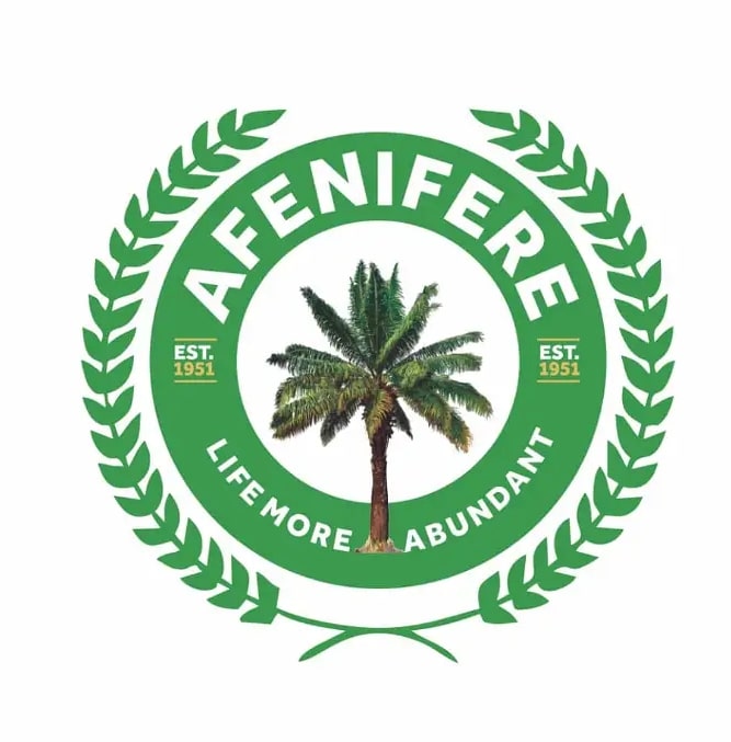 Fasoranti Still Remains Afenifere’s Only Leader – Organising Secretary