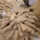 Nigeria Score High Over Ghana, Ivori Coast And Others In Yam Production