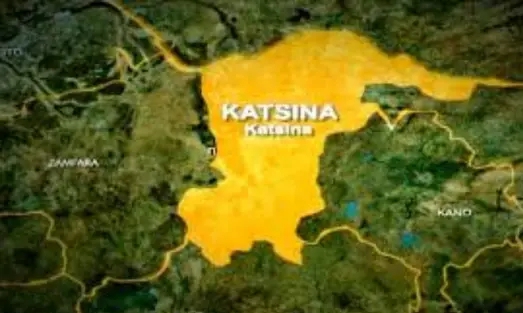 Customs Refute Involvement In Katsina Teenager’s Death