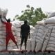 Hardship: FG To Start Nationwide Distribution Of Grains