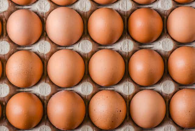 Enugu Residents Lament As Egg Prices Hit N5,000 Per Crate