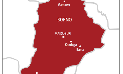 Borno Missing Children Rise As B’Haram Steps Up Recruitment