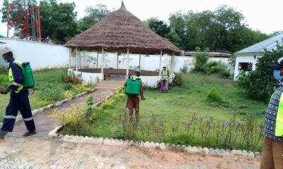 Kebbi Embarks On Massive Fumigation Against Mosquitoes, Dangerous Reptiles